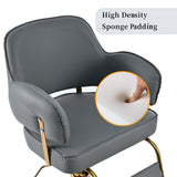 Salon Chair with Heavy Duty Hydraulic Pump Adjustable Barber Chair - Gray Pu