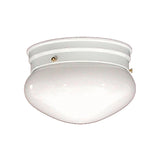 Scott 7-inch 1-light Flush Mount Fixture