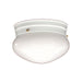 Scott 7-inch 1-light Flush Mount Fixture