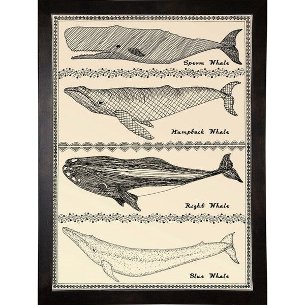 Scrimshaw Whale-WILBAS107035 Framed Print 14.75"x10.75" by Willow Bascom