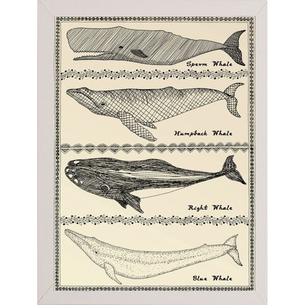 Scrimshaw Whale-WILBAS107035 Framed Print 14.75"x10.75" by Willow Bascom