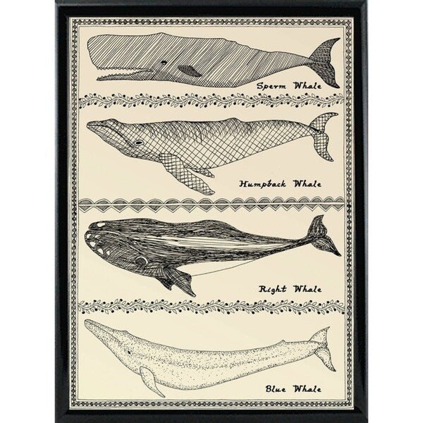 Scrimshaw Whale-WILBAS107035 Framed Print 14.75"x10.75" by Willow Bascom