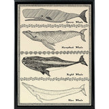 Scrimshaw Whale-WILBAS107035 Framed Print 14.75"x10.75" by Willow Bascom