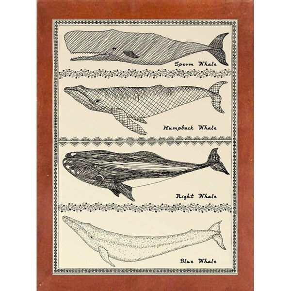 Scrimshaw Whale-WILBAS107035 Framed Print 14.75"x10.75" by Willow Bascom