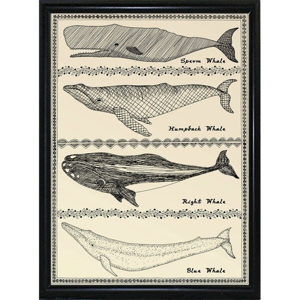 Scrimshaw Whale-WILBAS107035 Framed Print 14.75"x10.75" by Willow Bascom