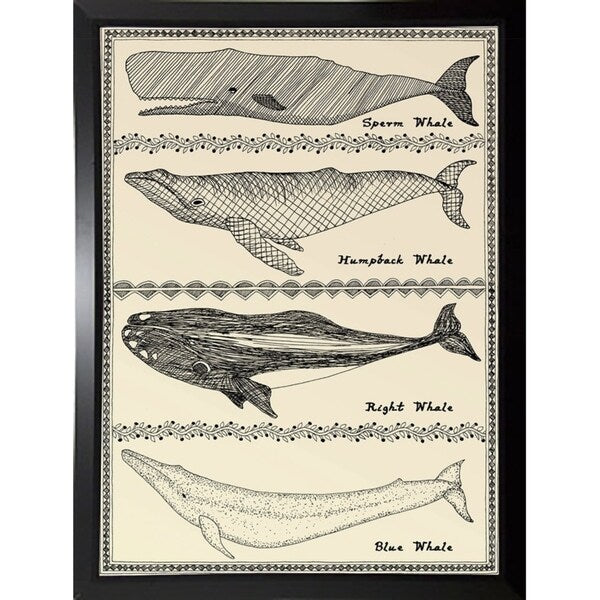 Scrimshaw Whale-WILBAS107035 Framed Print 14.75"x10.75" by Willow Bascom