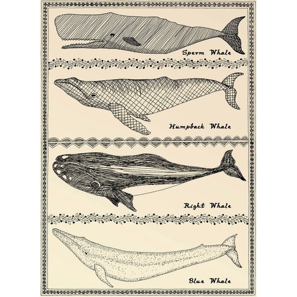 Scrimshaw Whale-WILBAS107035 Framed Print 14.75"x10.75" by Willow Bascom