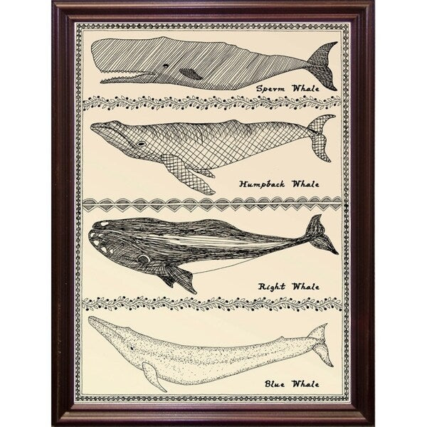 Scrimshaw Whale-WILBAS107035 Framed Print 14.75"x10.75" by Willow Bascom