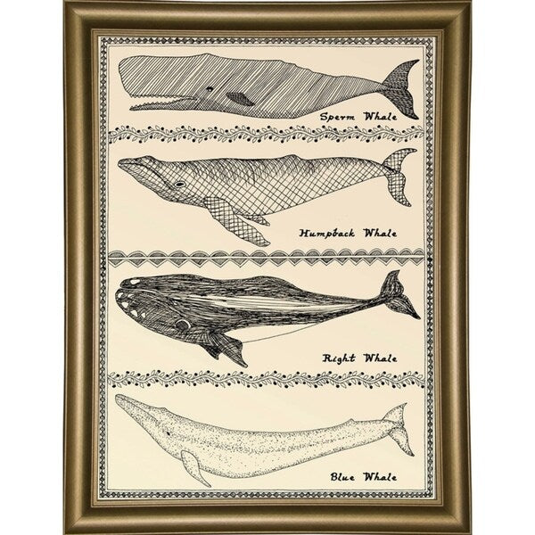 Scrimshaw Whale-WILBAS107035 Framed Print 14.75"x10.75" by Willow Bascom