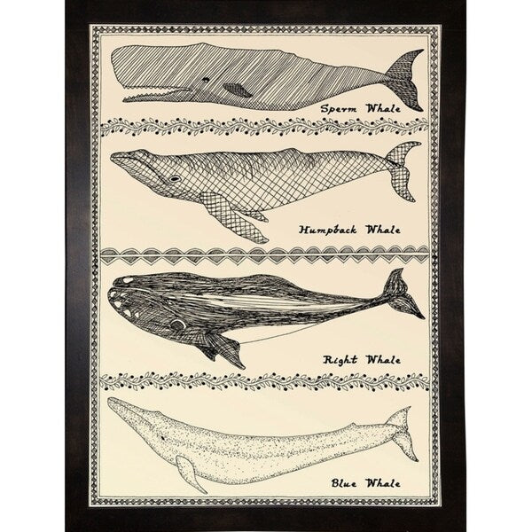 Scrimshaw Whale-WILBAS107035 Framed Print 14.75"x10.75" by Willow Bascom