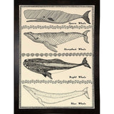 Scrimshaw Whale-WILBAS107035 Framed Print 14.75"x10.75" by Willow Bascom