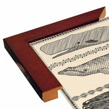 Scrimshaw Whale-WILBAS107035 Framed Print 14.75"x10.75" by Willow Bascom