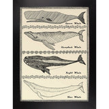 Scrimshaw Whale-WILBAS107035 Framed Print 14.75"x10.75" by Willow Bascom