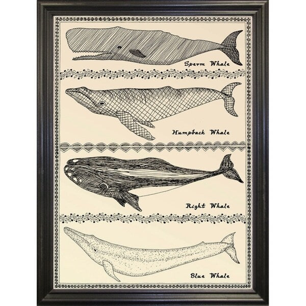 Scrimshaw Whale-WILBAS107035 Framed Print 14.75"x10.75" by Willow Bascom