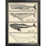 Scrimshaw Whale-WILBAS107035 Framed Print 14.75"x10.75" by Willow Bascom