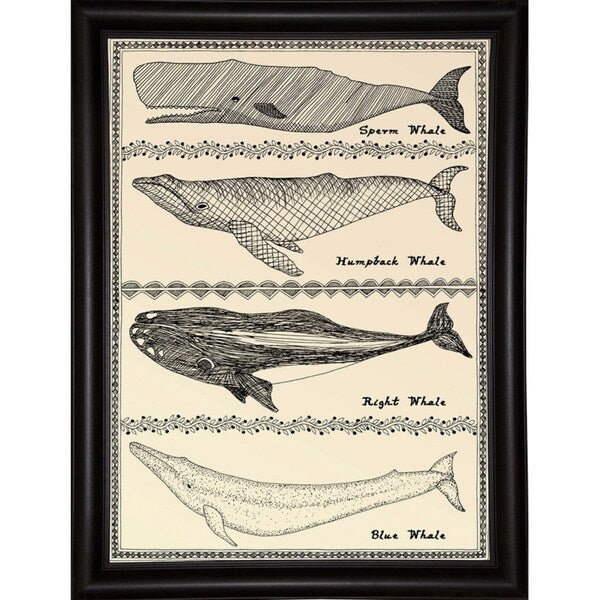 Scrimshaw Whale-WILBAS107035 Framed Print 14.75"x10.75" by Willow Bascom