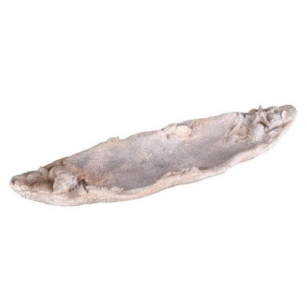 Sea Shell Tray