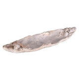 Sea Shell Tray