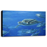 Sea Turtle-WILGOE105407 Framed Print 9"x14" by Wilhelm Goebel