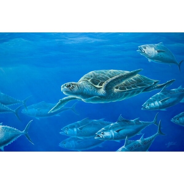 Sea Turtle-WILGOE105407 Framed Print 9"x14" by Wilhelm Goebel