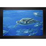 Sea Turtle-WILGOE105407 Framed Print 9"x14" by Wilhelm Goebel