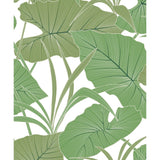 Seabrook Designs Antilles Non-Woven Unpasted Wallpaper