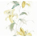 Seabrook Designs Urbana Watercolor Lilies Unpasted Wallpaper