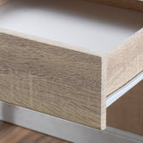 Seanan Wood Computer Desk with Drawers by Christopher Knight Home