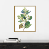 Seeded Eucalyptus II by Melissa Wang (16 x 20 in.), Framed Canvas Wall Art Print - Sylvie Gold