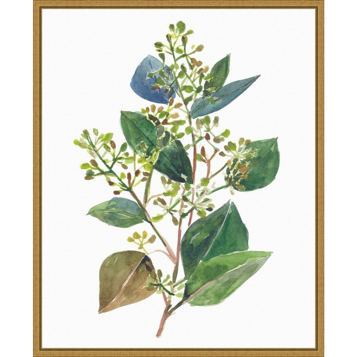 Seeded Eucalyptus II by Melissa Wang (16 x 20 in.), Framed Canvas Wall Art Print - Sylvie Gold