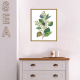 Seeded Eucalyptus II by Melissa Wang (16 x 20 in.), Framed Canvas Wall Art Print - Sylvie Gold