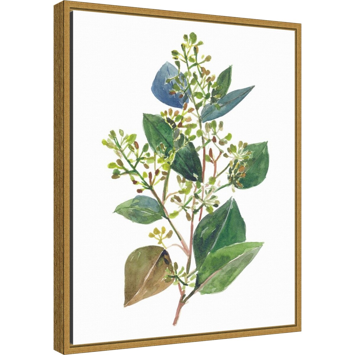 Seeded Eucalyptus II by Melissa Wang (16 x 20 in.), Framed Canvas Wall Art Print - Sylvie Gold