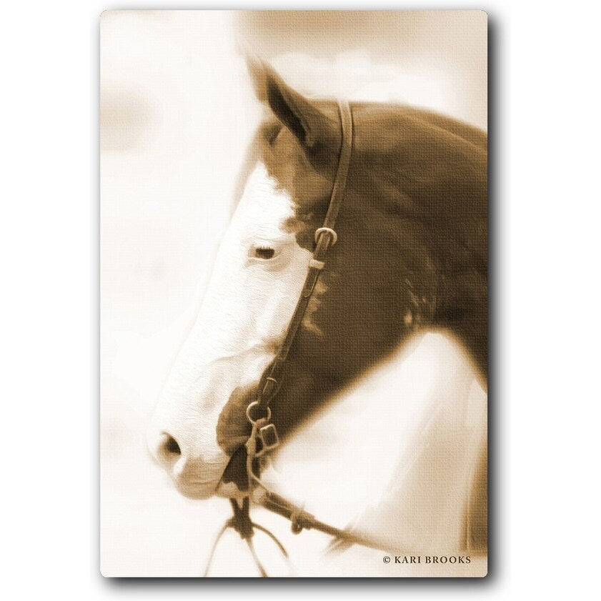 Sepia Dream 16x20 Gallery Wrapped Stretched Canvas