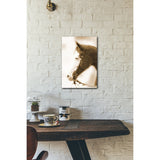 Sepia Dream 16x20 Gallery Wrapped Stretched Canvas