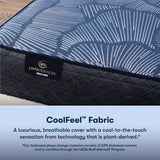 Serta Perfect Sleeper Radiant Rest 14" Hybrid Firm Mattress Set