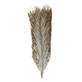 Set of 12 Natural Date Palm Leaves - 44-inch Tall