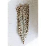 Set of 12 Natural Date Palm Leaves - 44-inch Tall