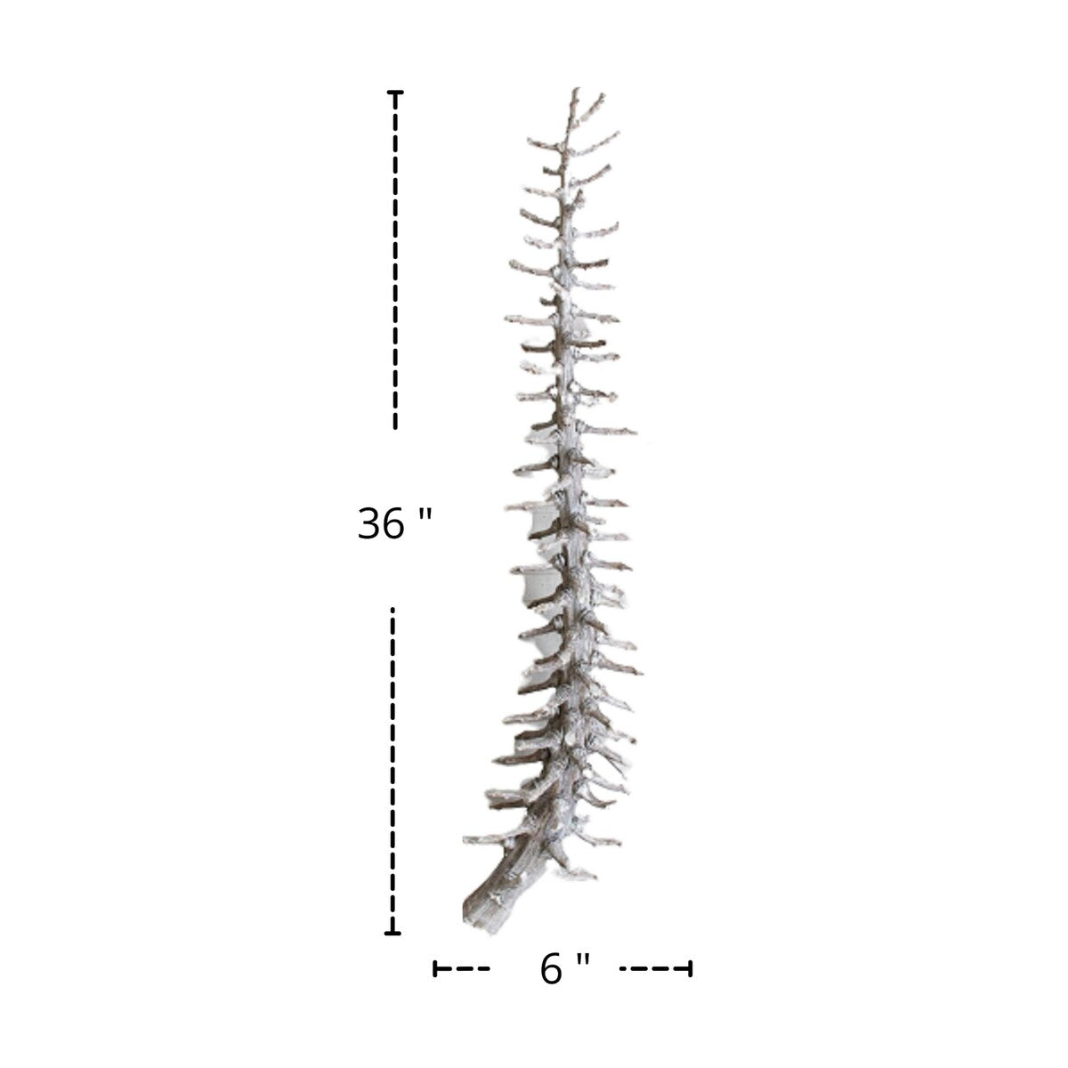 Set of 12 Frosted White Palm Rib