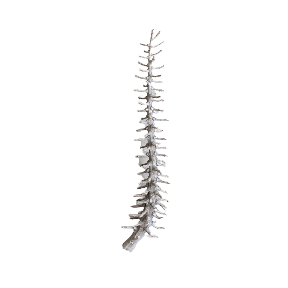 Set of 12 Frosted White Palm Rib