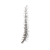 Set of 12 Frosted White Palm Rib