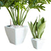 Set of 2 Clay Square Automatic Watering Planter Pots