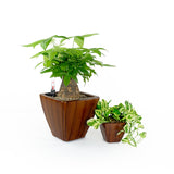 Set of 2 Clay Square Automatic Watering Planter Pots