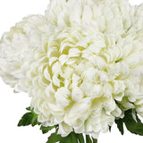 Set of 2 Deluxe Cream White Artificial Chrysanthemum Flower Stem Bush Bouquet 18in - 18" L x 12" W x 12" DP
