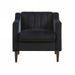 Set of 2 Elegant Accent Chair Arm Chair Side Chairs