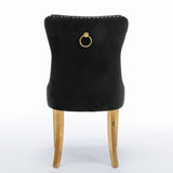 Set of 2 Velvet Dining Chairs with Nailhead Trim and Gold-Plated Legs