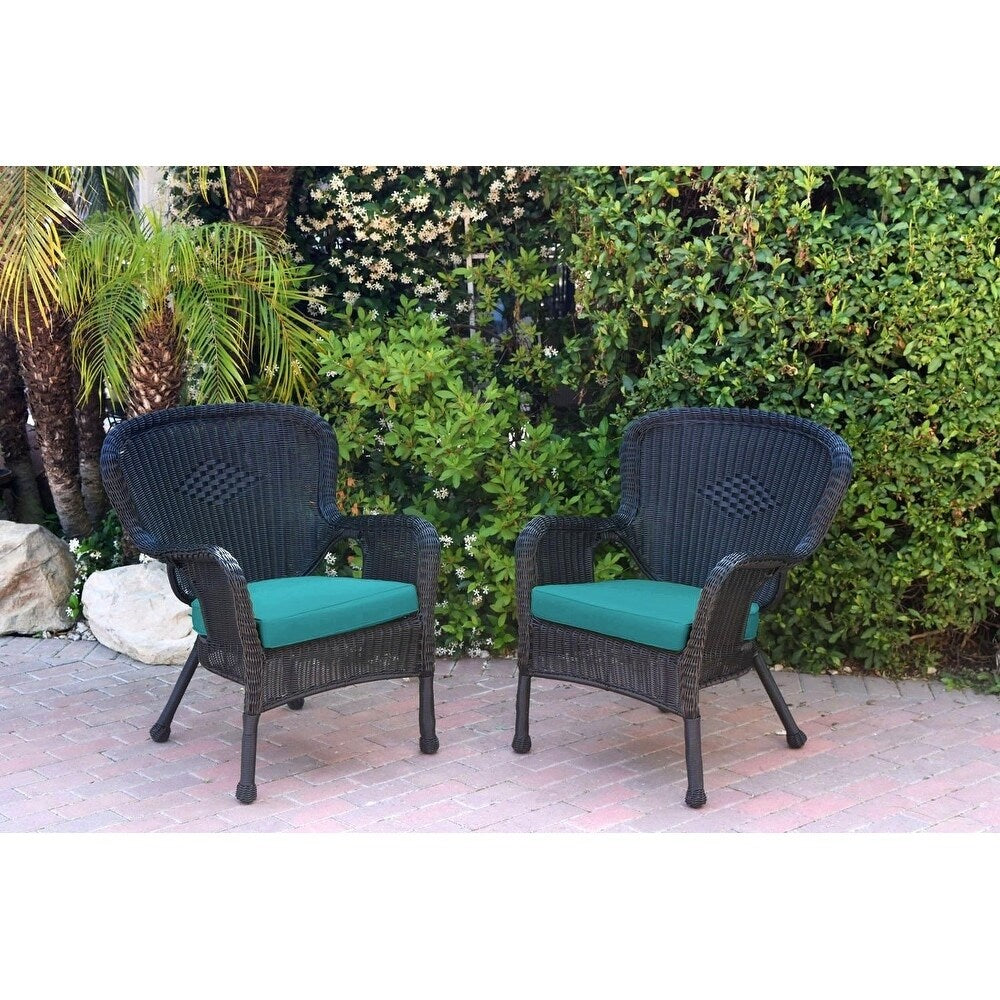 Set of 2 Windsor Black Resin Wicker Chair with Cushion