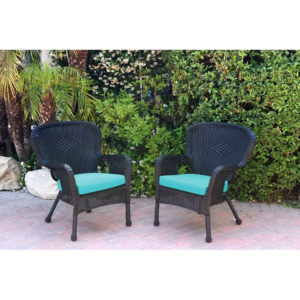 Set of 2 Windsor Black Resin Wicker Chair with Cushion