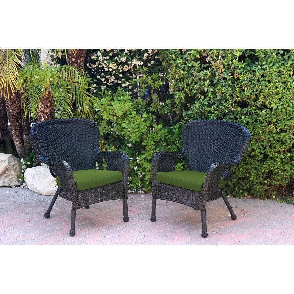 Set of 2 Windsor Black Resin Wicker Chair with Cushion