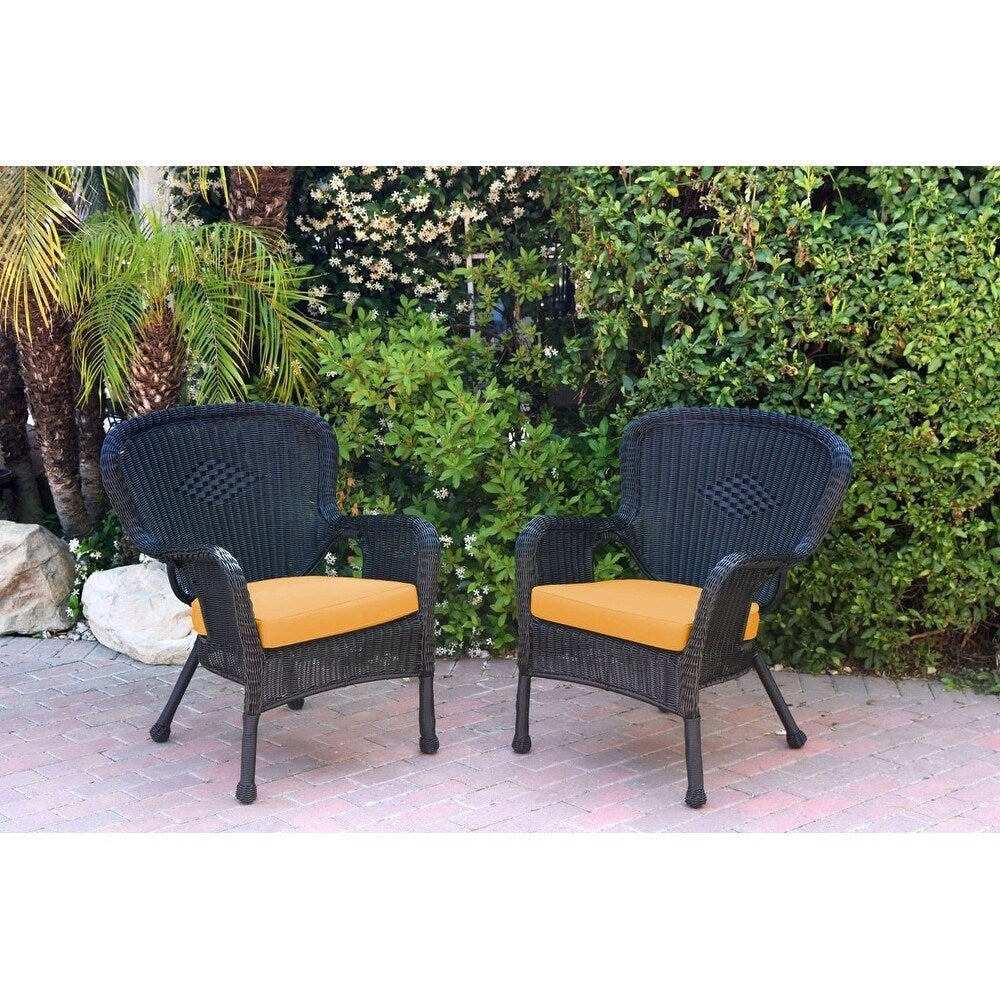 Set of 2 Windsor Black Resin Wicker Chair with Cushion