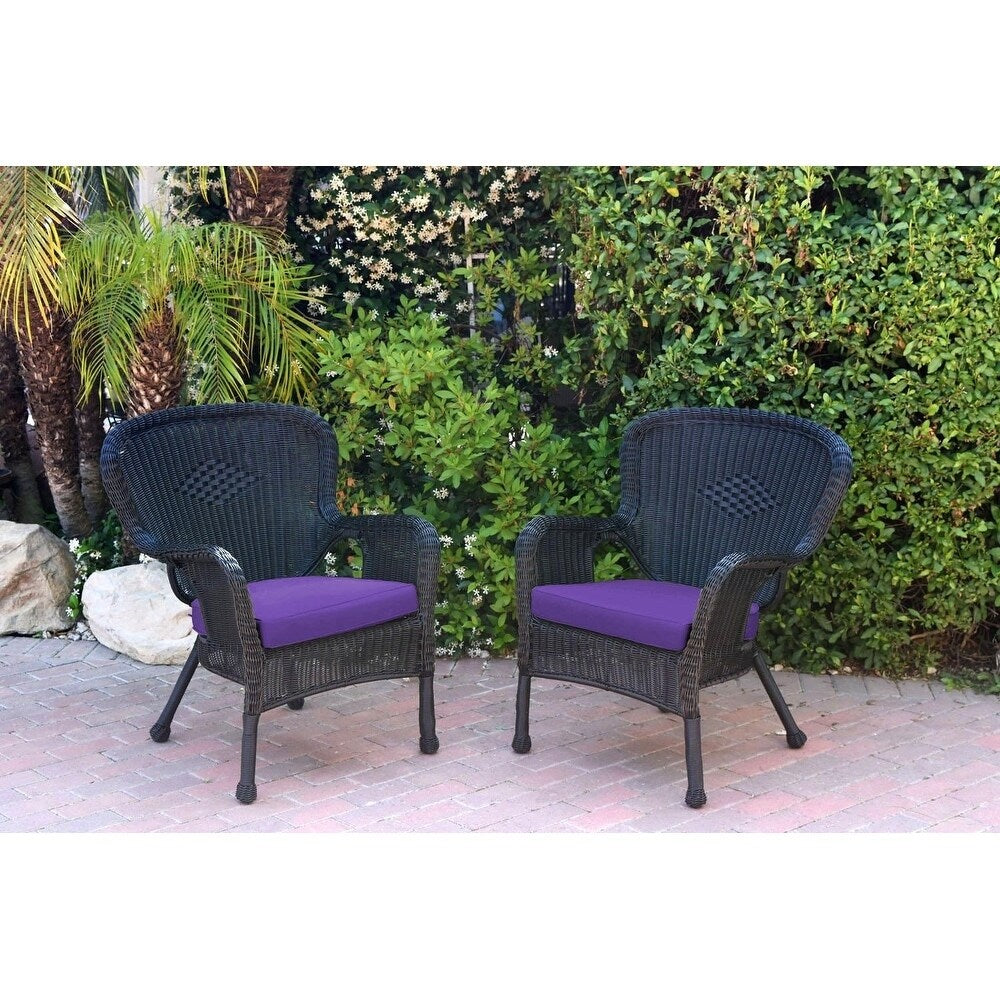 Set of 2 Windsor Black Resin Wicker Chair with Cushion